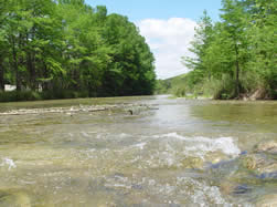 Guadalupe River