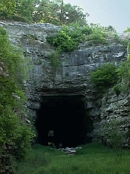 Old Tunnel Management Area Bat Entrance